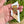 Load image into Gallery viewer, 80s Hinged White and Pastel Brooches
