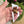 Load image into Gallery viewer, 80s Hinged White and Pastel Brooches

