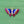 Load image into Gallery viewer, Cloisonné Enamel Butterfly Rainbow Brooch
