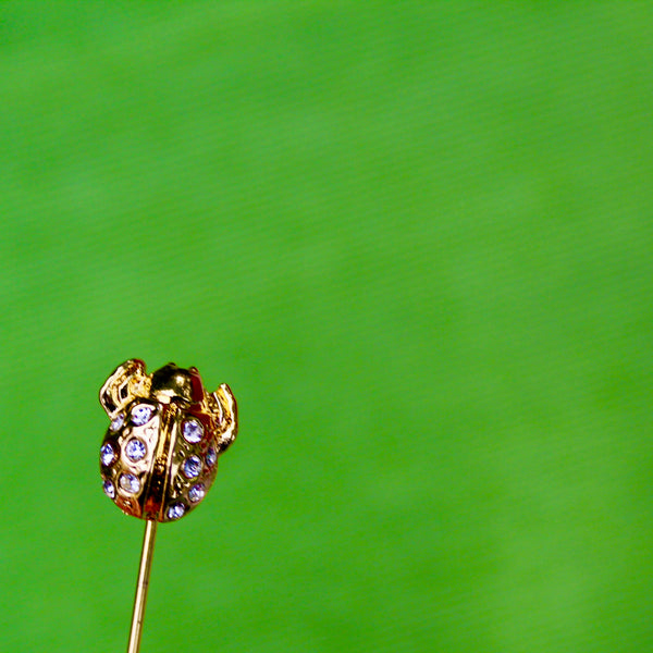 Ladybird Stick Pin