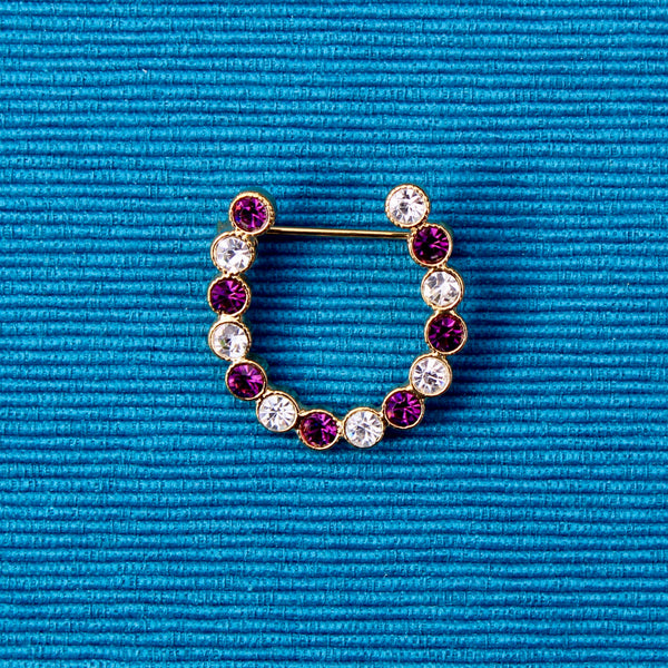 Purple Horseshoe Brooch