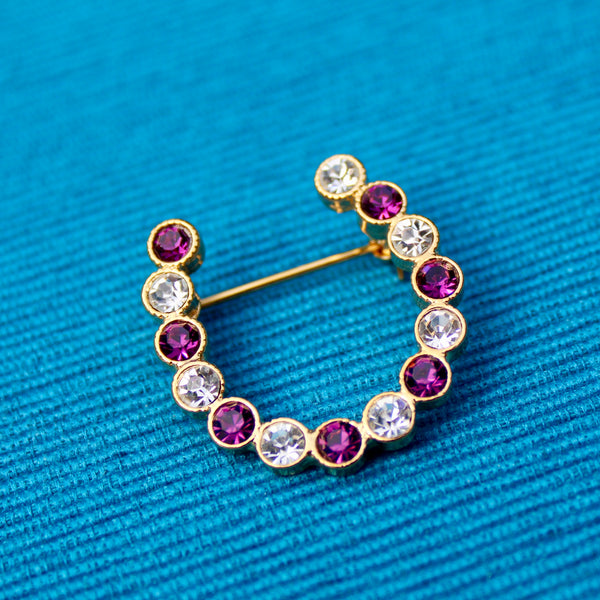 Purple Horseshoe Brooch