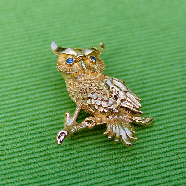 Blue Eyed Owl Brooch