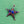 Load image into Gallery viewer, Copper Enamel Star Brooch
