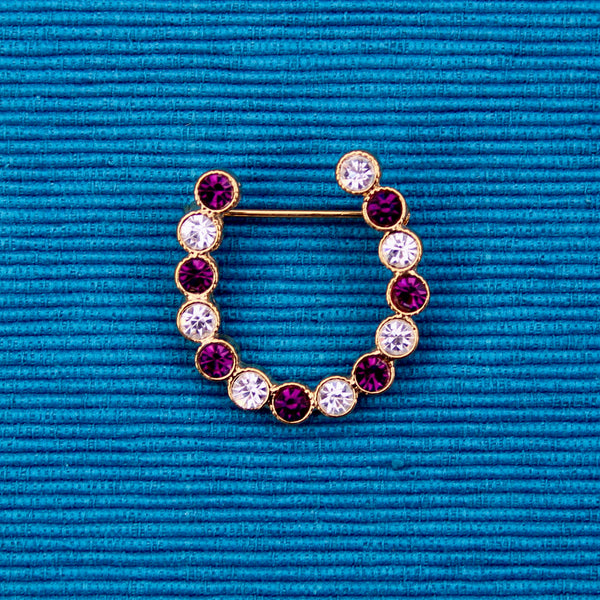 Purple Horseshoe Brooch