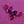 Load image into Gallery viewer, 80s Deco Fuchsia and Violet II
